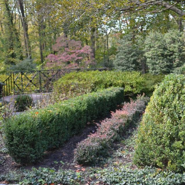 Residential landscape with structured plantings and walks.