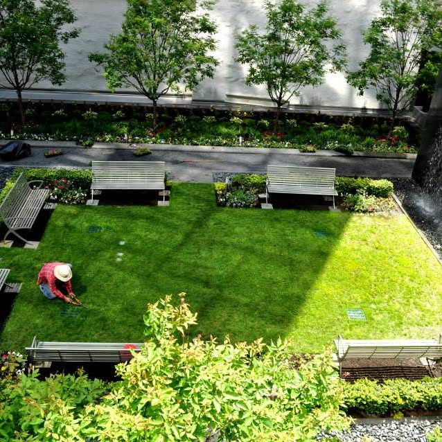 Seasonal landscape care, plantings, and bed maintenance.