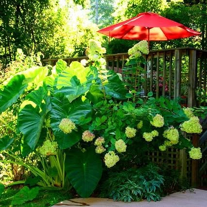 Planting design and seasonal color.