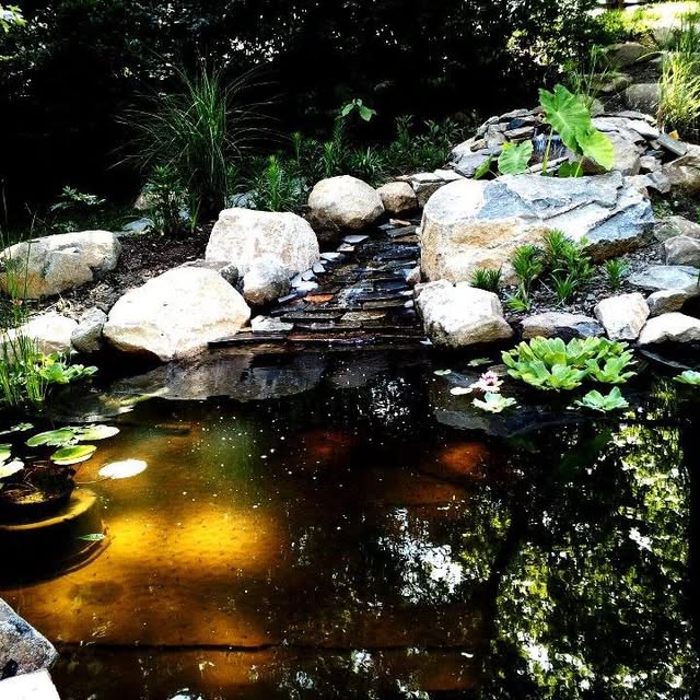 Landscape lighting and evening garden atmosphere.